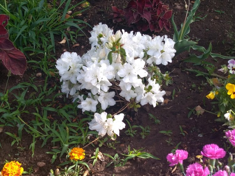 Облаци и дъжд се редуват днес