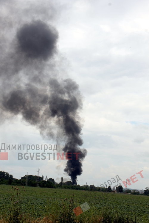 Пожар избухна до железния мост в Димитровград