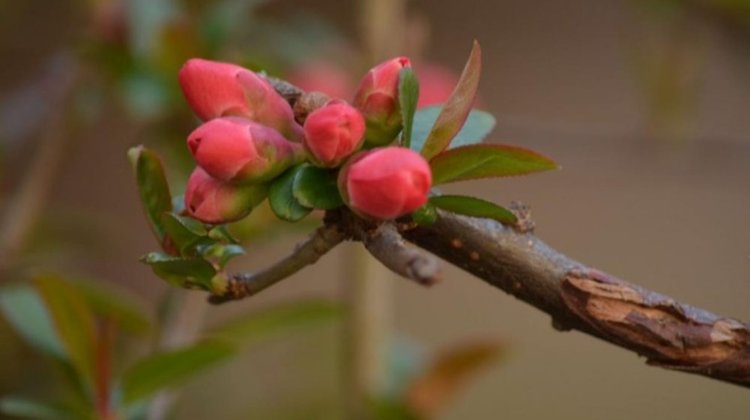 Облачно, но топло ще е времето днес
