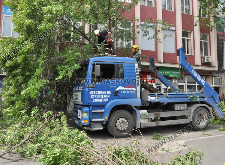 Камион повали неокастрено дърво в Хасково