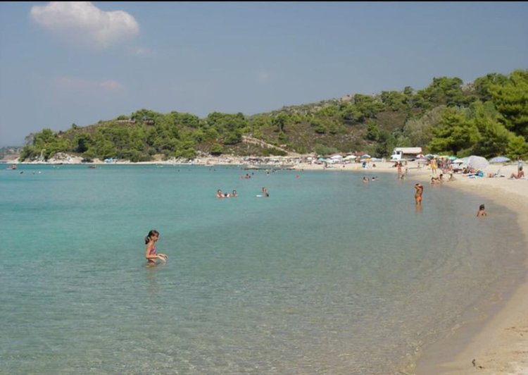 В Никити гласуваха внушителните за секция в чужбина 736 избиратели