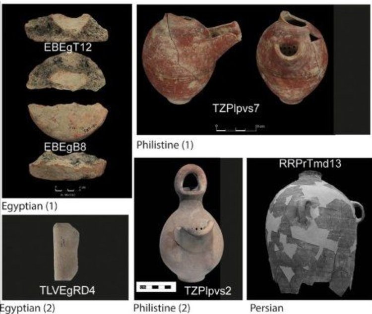 Фрагменти и цели съдове, открити в обектите. Буквените комбинации означават откритите щамове дрожди, а имената съответстват на културата, на която принадлежат съдовете. Кредит: Aouizerat et al, doi: 10.1128/mBio.00388-19.