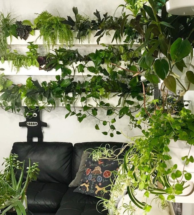 Цветята намаляват стреса, доказват учени