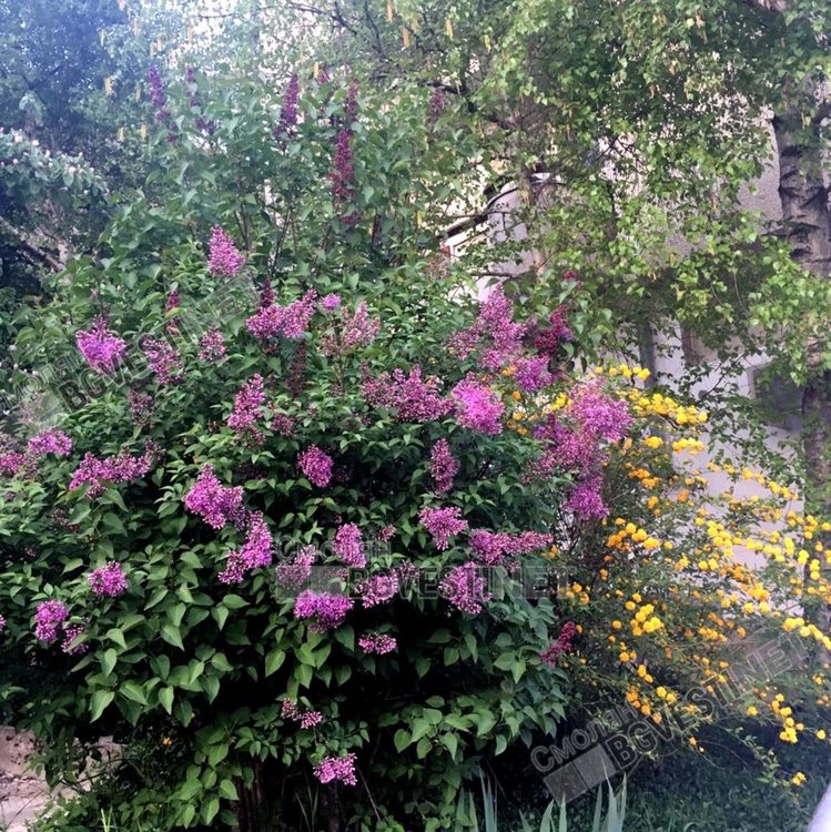 Слънчево с до 22 градуса във вторник