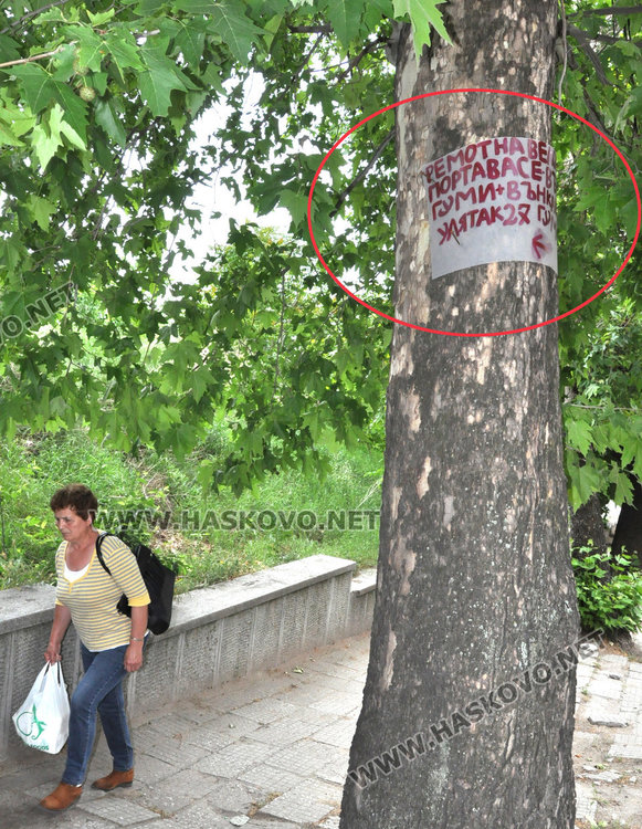 Култови табели изумиха хасковлии