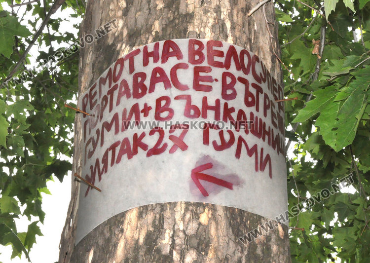 Култови табели изумиха хасковлии