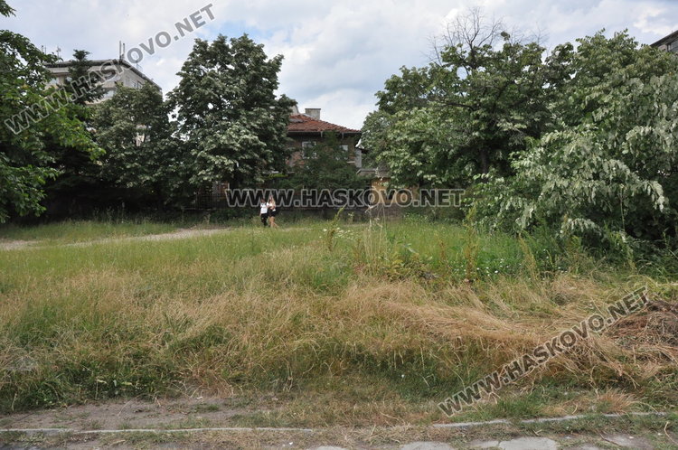 Хасковлии: Неокосени паркове и градинки развъждат змии