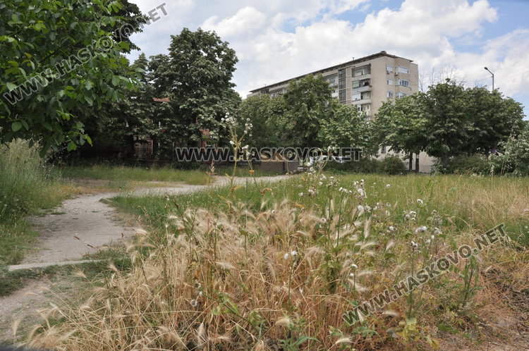 Хасковлии: Неокосени паркове и градинки развъждат змии