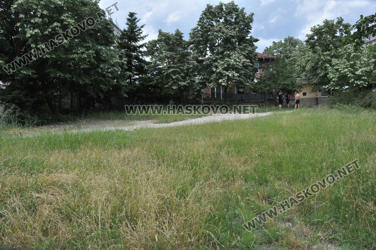 Хасковлии: Неокосени паркове и градинки развъждат змии