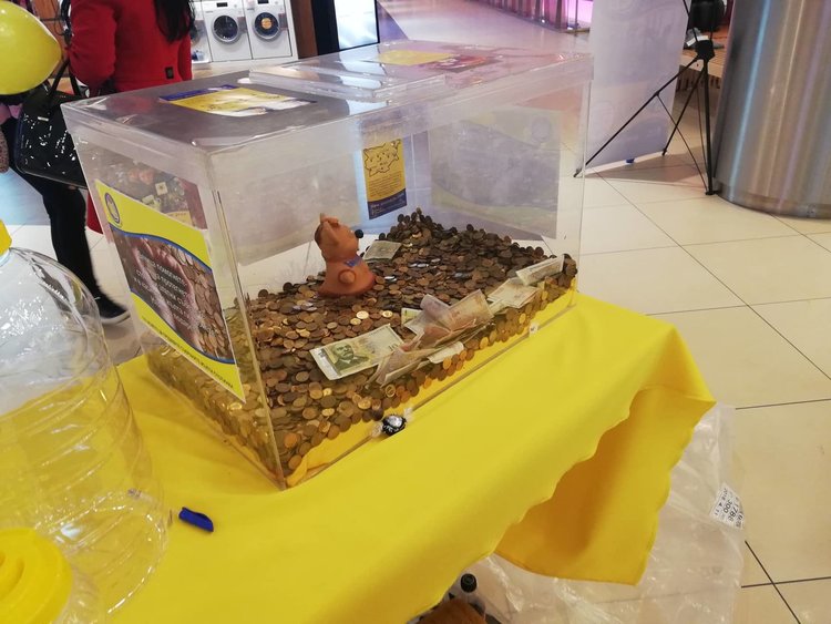 Акция “Жълти стотинки“ за Хасково продължава на 1-ви юни