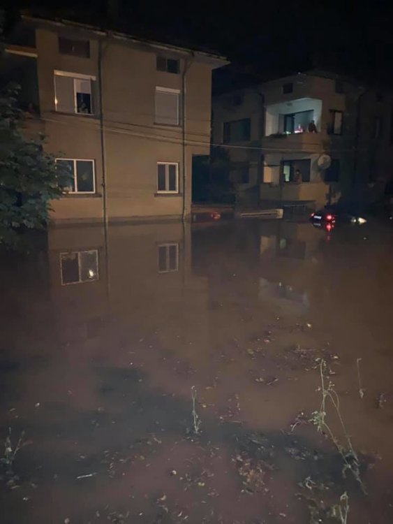 Ул. "Габрово" снощи