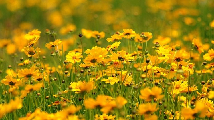 Слънчево днес, с гръмотевични бури