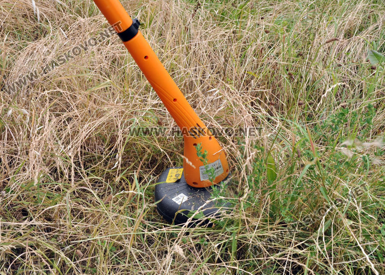 За пример: 23-годишна коси обрасъл в трева парк, превърнал се в змиярник