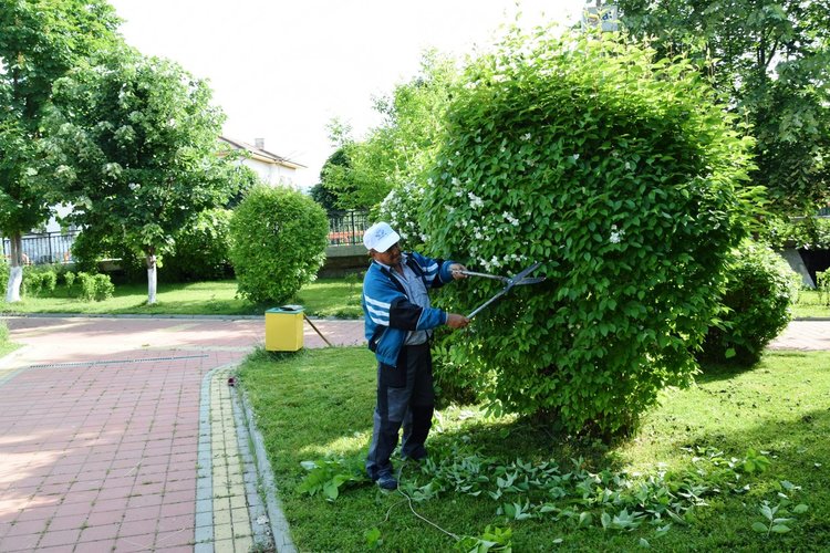 Окосяват зелените площи в Ардино