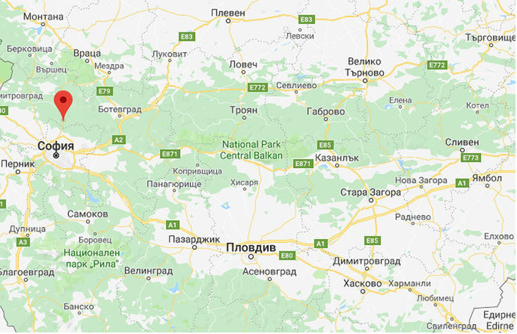 Пет домашни кучета са убили 39-годишен мъж