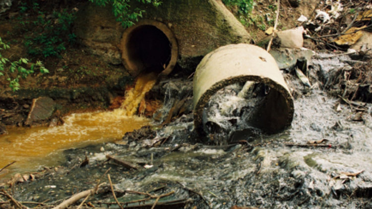 Наказателно постановление за 1000 лв. отнесе кланица край кърджалийското село Енчец