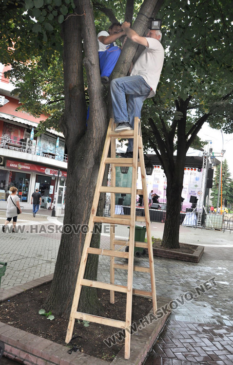 "Театър, обичам те!" със звезден старт, музикална сцена и графити фест /програма/