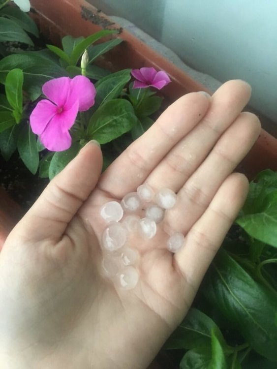 Вода заля Воден