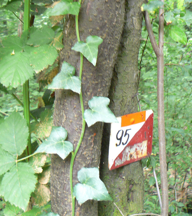 "Компас" с разходка до крепостта "Хисаря" и с предложения за облагородяване