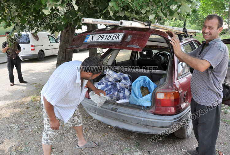 Ангел Калайджията: 40 000 лева изкарваме от метене на липа