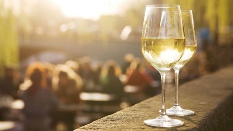 Совиньон Блан е от същата лоза, както преди 9 века. Със същата ДНК