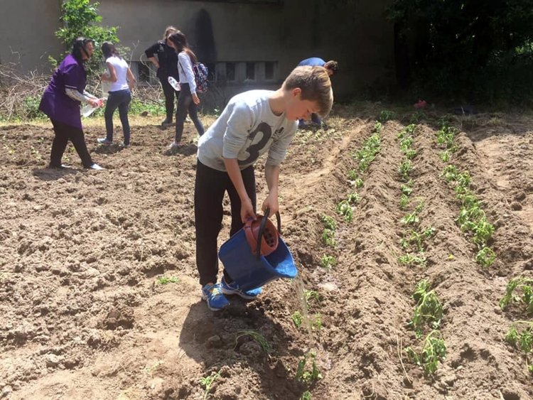 Училище в Смолян създаде зеленчукова "градина на щастието", в нея работят всички деца