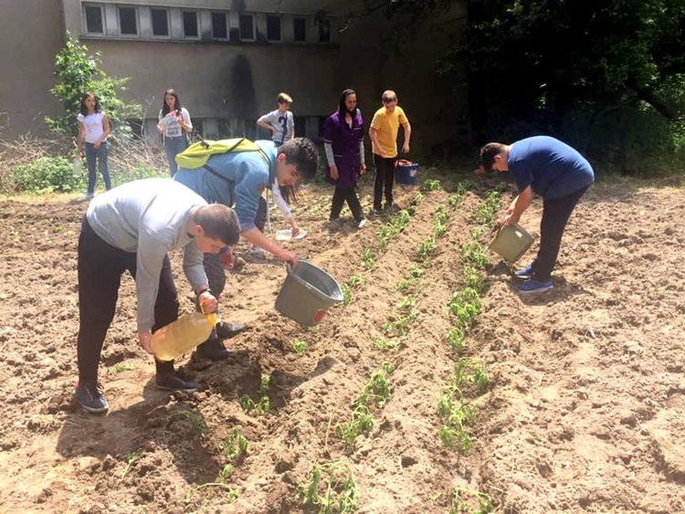 Училище в Смолян създаде зеленчукова "градина на щастието", в нея работят всички деца