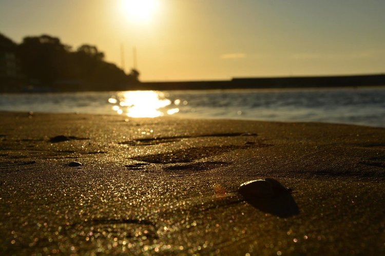 Топло време в четвъртък