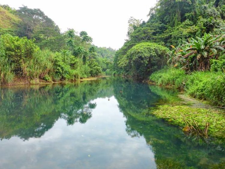 Откриха същество, което яде скали и изхвърля пясък (видео)