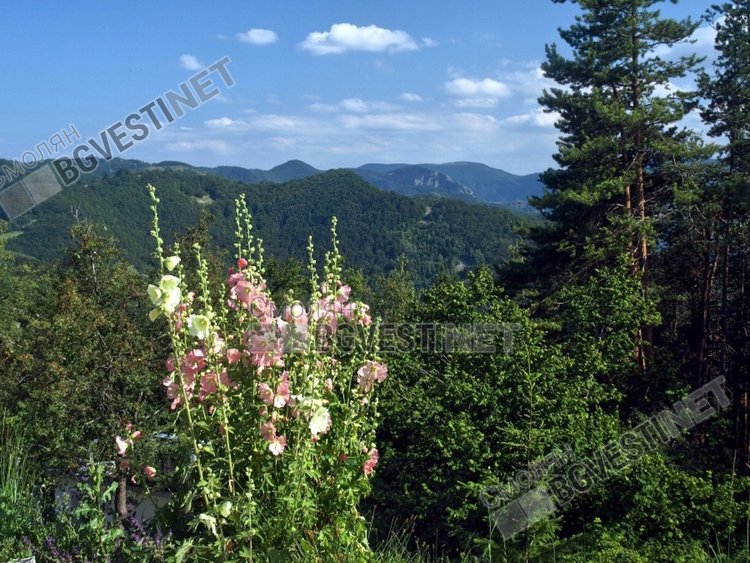 Слънчево и до 25 градуса, с малко дъжд в първия ден от лятото