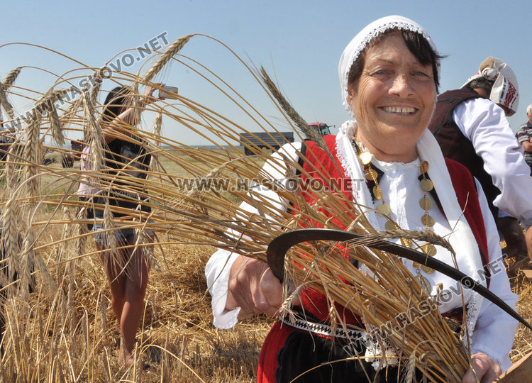 Зажънаха първите блокове в Хасково