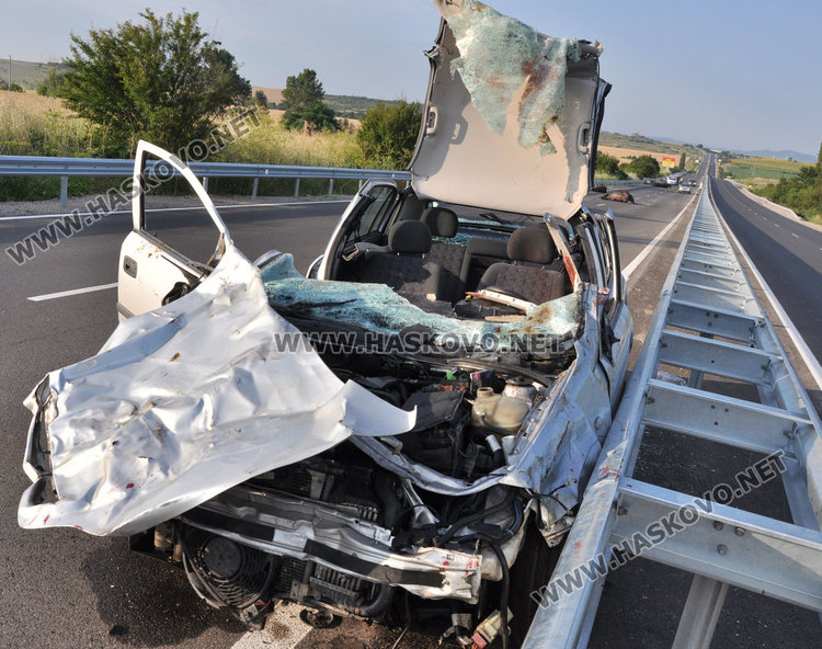 Биволи преобърнаха кола преди Хасково, двама загинаха по пътя за Димитровград