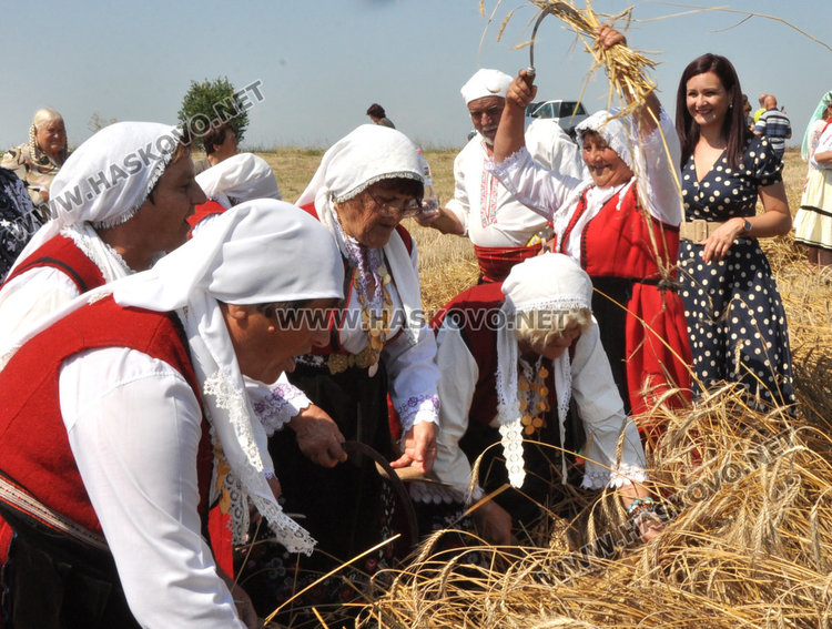 Зажънаха първите блокове в Хасково