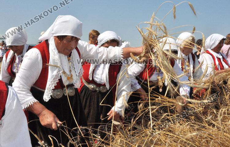 Зажънаха първите блокове в Хасково