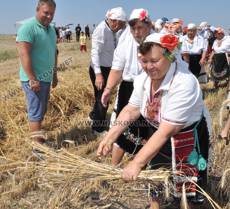 Зажънаха първите блокове в Хасково