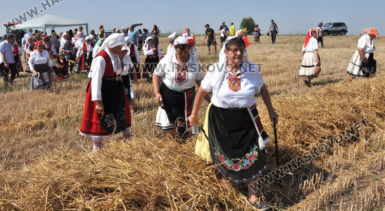 Зажънаха първите блокове в Хасково