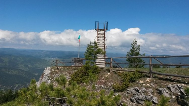 Тежкият инцидент, при който пострада 14-годишният Джанер, е станал в близост до панорамната площадка в местността Вълчи камък, която е най-високата на Балканите