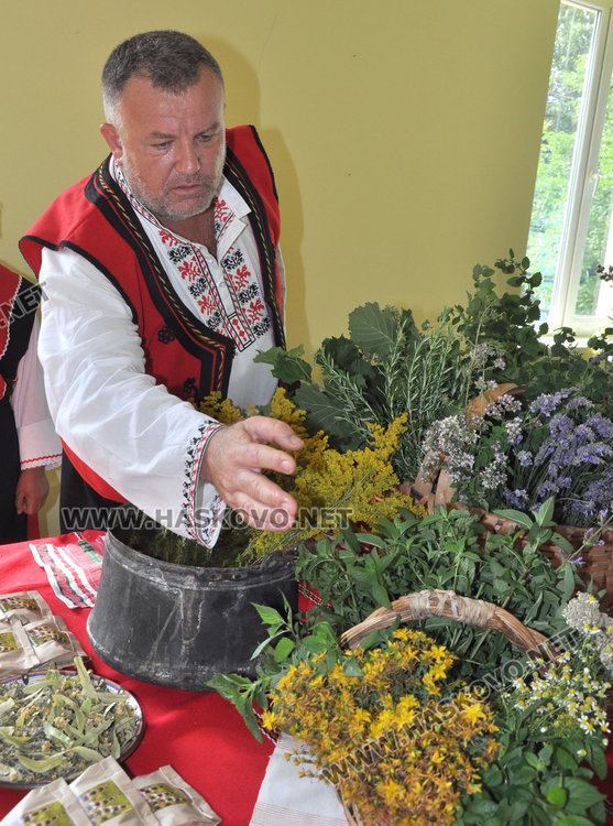 Самодейци набраха букет от билки на Еньовден. Пилите от чая почти не боледуват