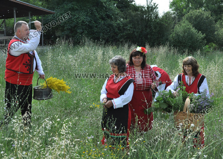 Самодейци набраха букет от билки на Еньовден. Пилите от чая почти не боледуват