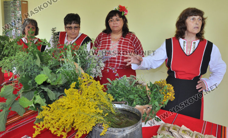Самодейци набраха букет от билки на Еньовден. Пилите от чая почти не боледуват