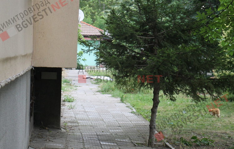 Мъж се хвърли от 5-ия етаж в Димитровград