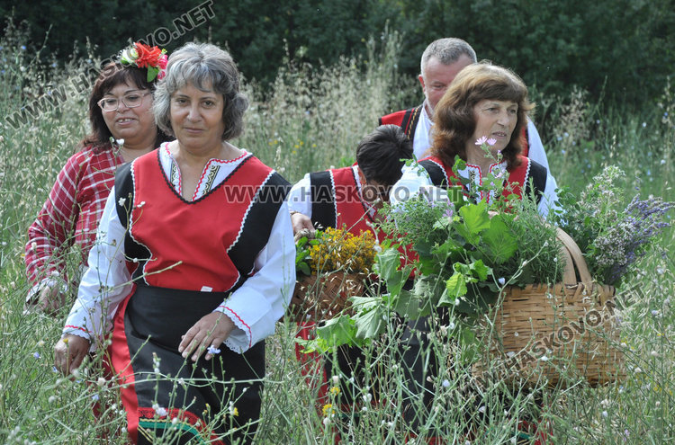 Самодейци набраха букет от билки на Еньовден. Пилите от чая почти не боледуват
