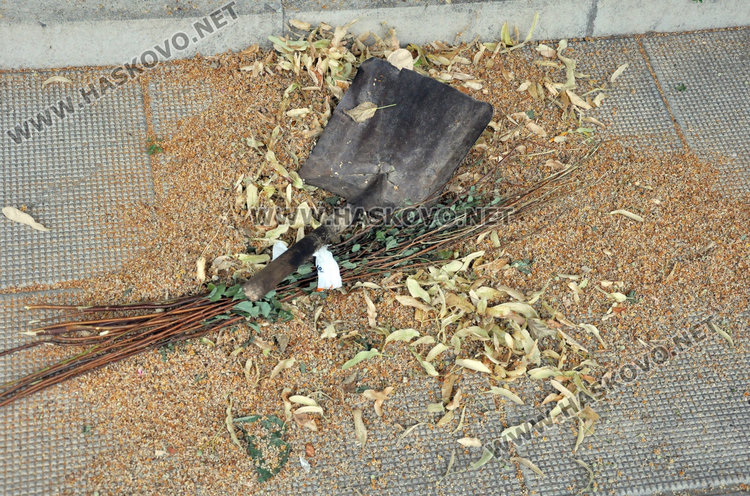 Глобиха трима роми за метене на липа в Хасково на Еньовден