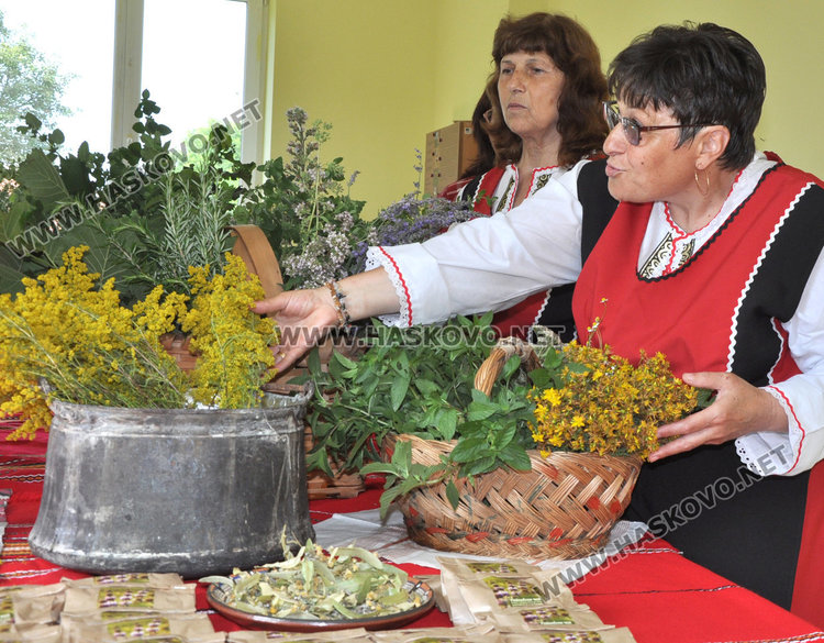 Самодейци набраха букет от билки на Еньовден. Пилите от чая почти не боледуват
