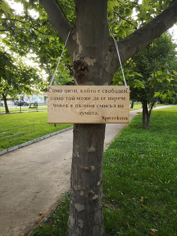 Младежи подредиха "Парк на мъдростта"