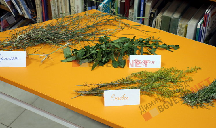 Билките - дар от Бога и как да излекуваме диабета