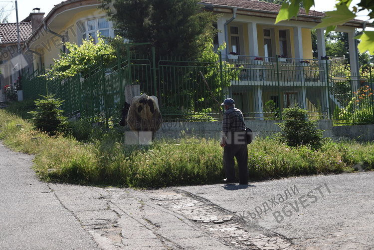 Преодоляна е кризата с недостиг на косачи в Кърджали, косят тревните площи за втори път
