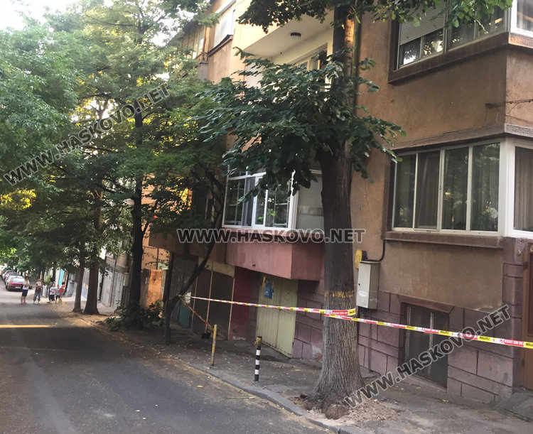 изгнилото дърво преди да бъде отрязано