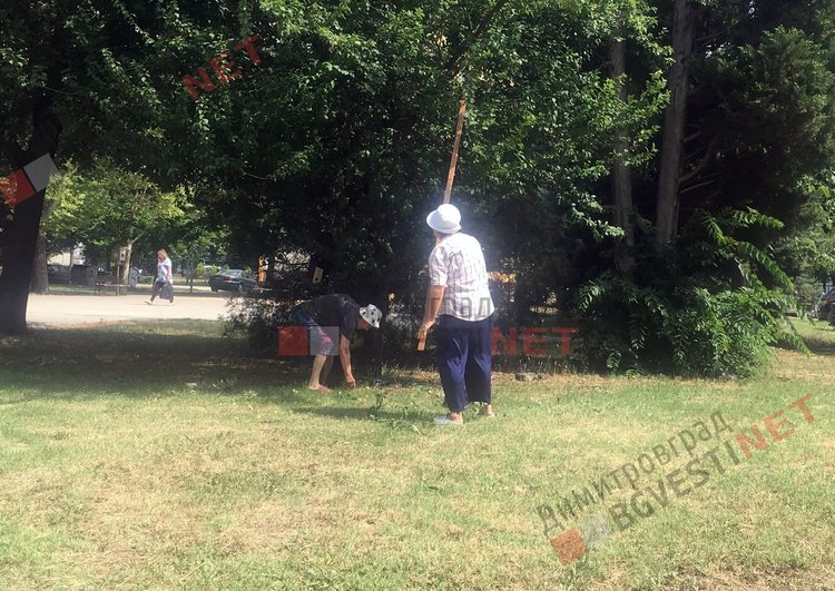 Дини до дома разнасят в Димитровград