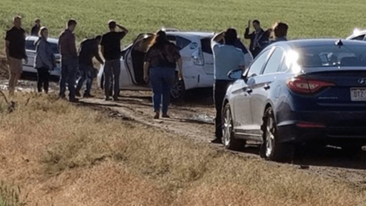 100 коли закъсаха в калта след като Google Maps „скъси“ пътя им